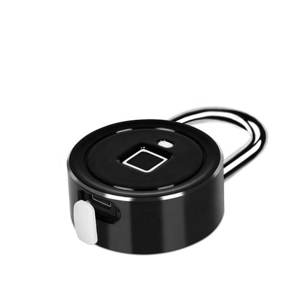 fingerprint padlock 2019 door pad lock smart lock for cabinet - Image 4